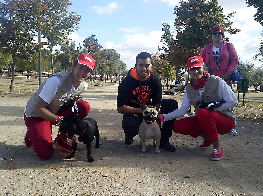 JJproProduccion's tweet image. Para Royal Canin, realizamos una acción de street marketing con azafat@s, recogimos datos de dueños de perros durante dos días, en parques de Madrid,  con regalo incluido. Personalizamos tanto el uniforme como las bicicletas. Más acciones en: jjpro.es #jjpro