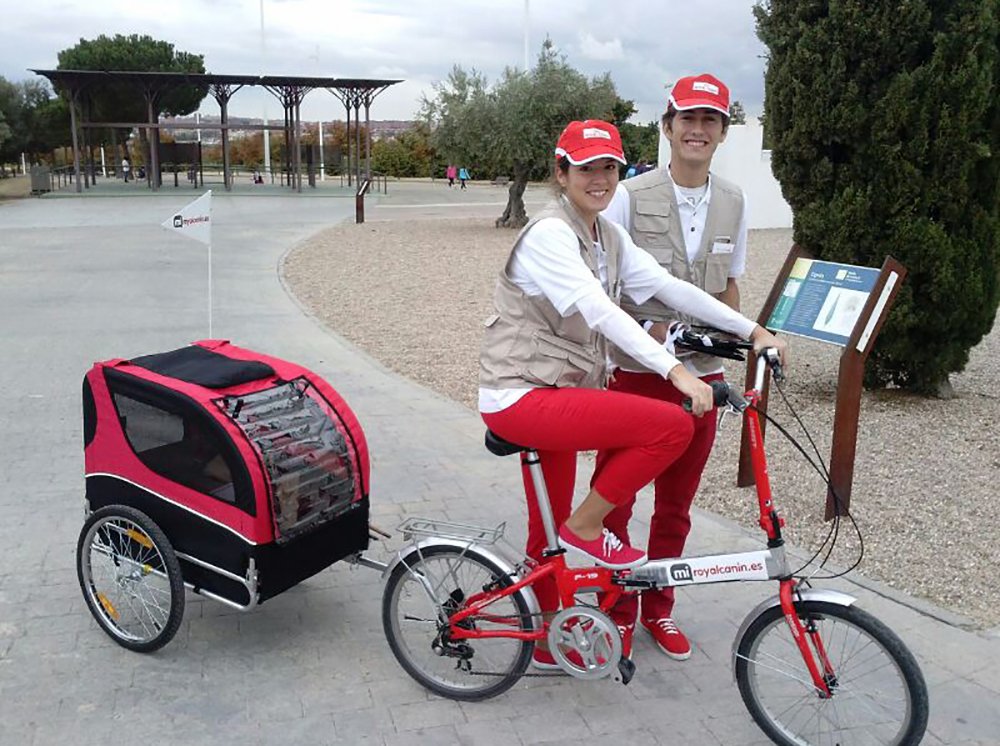 JJproProduccion's tweet image. Para Royal Canin, realizamos una acción de street marketing con azafat@s, recogimos datos de dueños de perros durante dos días, en parques de Madrid,  con regalo incluido. Personalizamos tanto el uniforme como las bicicletas. Más acciones en: jjpro.es #jjpro