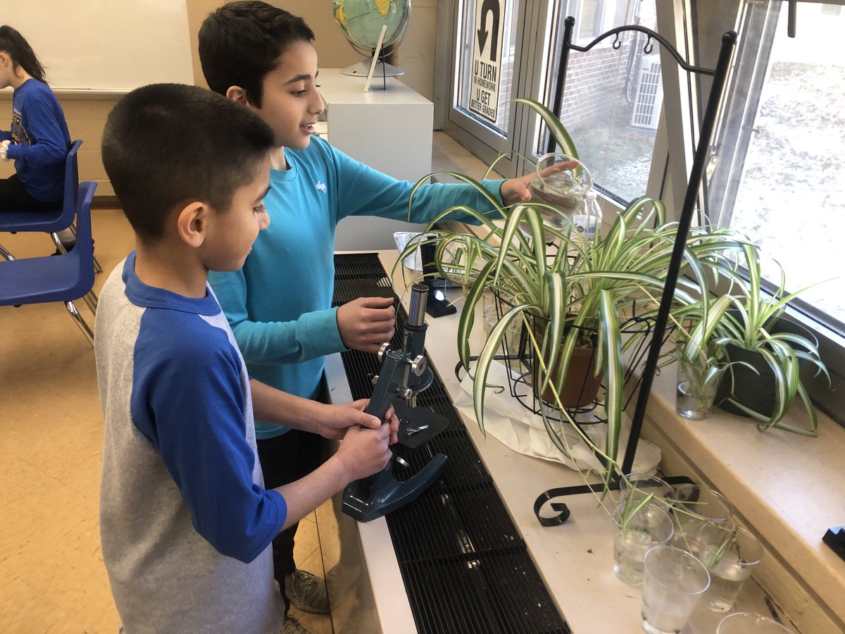mnatirboff's tweet photo. Using microscopes for tech day😃 #ehmsdlday https://t.co/di8jVLCtbC