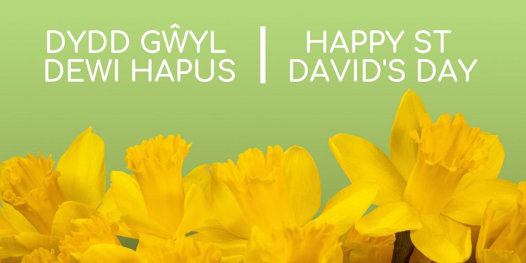 PowysCC's tweet photo. Dydd Gŵyl Dewi Hapus! 

Happy St David's Day! 

#DyddGwylDewi #StDavidsDay
#ProudToBeWelsh #CymruAmByth 🌾❤️ https://t.co/jNs2bG4NyQ