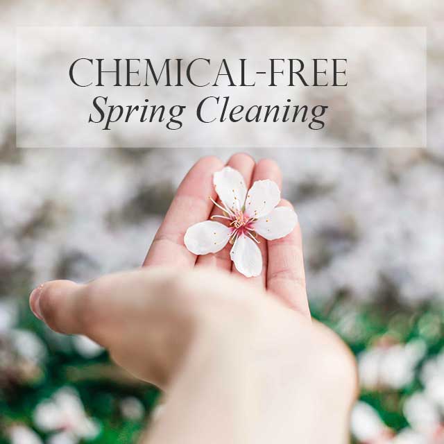 Spring is just around the corner and we are ready!  We offer Chemical Free - Enviro friendly cleaning products that are human and pet friendly for your home or for your office. Book your cleaning today....You deserve it!