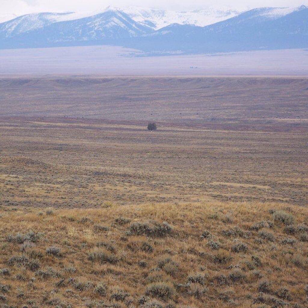 The MT Land Reliance tweet media