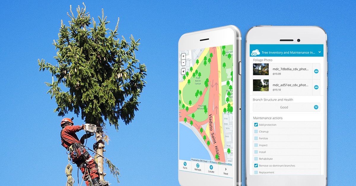 GISCloud's tweet photo. 🌳[Arborist Case Study]🌳

We outline the tools and workflows, as well as #GIS #Cloud apps that help #arborists improve their productivity in the field and cut down on #paperforms.

https://t.co/LtzXAUoea4 https://t.co/vIJAVpOutU