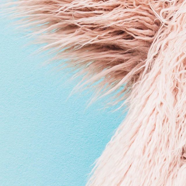 Maddy Fleur.
🦋🦋🦋
.
Going through some old shoots in the archives and came across this unreleased gem. Actually taken as a test shot, I remember feeling so excited when the first image looked exactly as I’d imagined it would.
.
.
📸 @leorabermeister_ph… ift.tt/2Sw4fTm