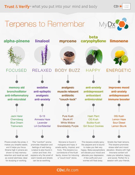 OneFallenAngelM's tweet photo. Terpenes to remember 👇🏻😇🌿🎈 https://t.co/6n2L4illQ0