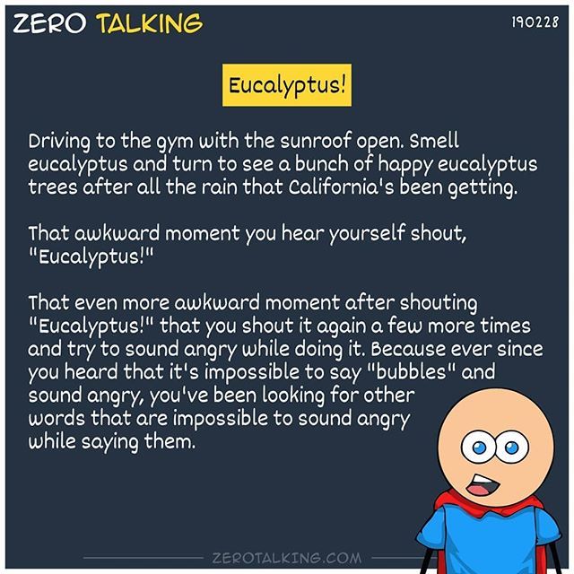 ZeroTalking's tweet photo. Eucalyptus! ~#ZeroTalking https://t.co/f1j4cozGO0 https://t.co/PORKBGoGwI