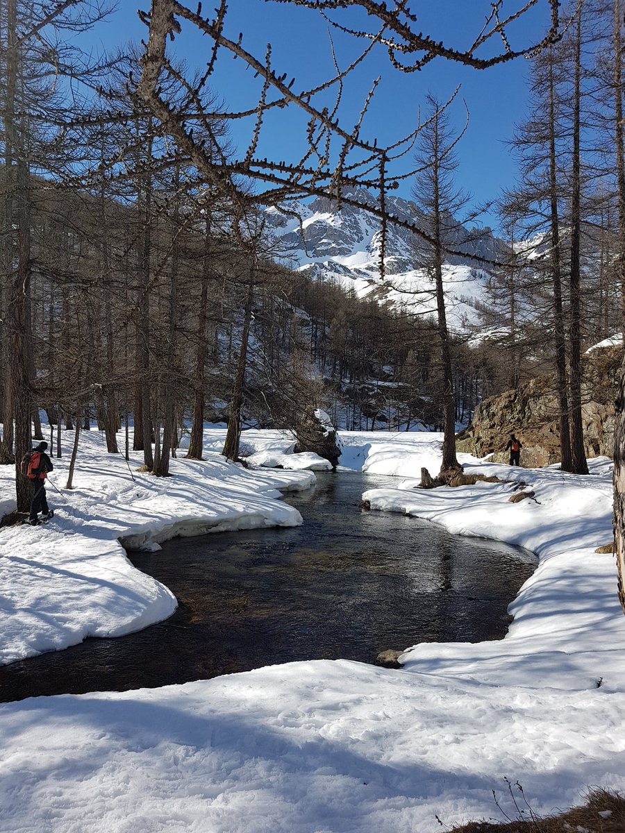 ✒ Olivia Mahieu tweet media