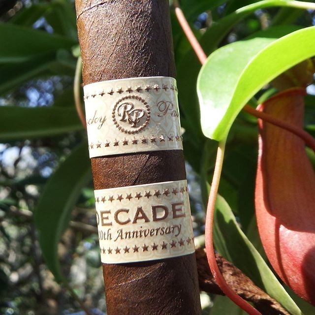 CheapHumidors's tweet image. #Rocky Patel Decade. One of my favorite Rocky #Patel blends.
#RockyPatel, #BoxPress #cigaroftheday #cigarappreciation
