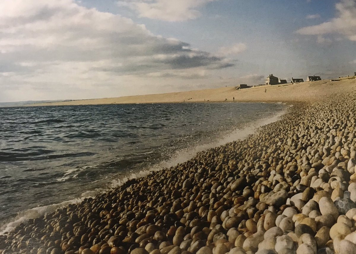 Geography Review tweet media