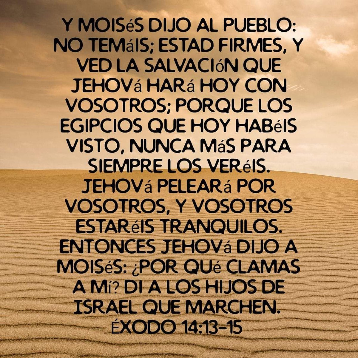 DIOS nos sigue hablando directamente y nos dice:Hijo te he dicho muchas veces que no temas ante ninguna situacion matrimonial, economica, de trabajo, de salud,, con los hijos, por mas dificil que tu creas que es,mantente firme y confiado que todo se resolverá,YO LO DIJE Y LO HARE