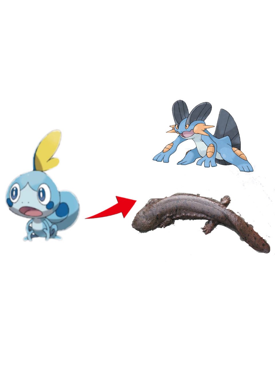 から ヒバニーはウサギの数え方からほのお ひこうでファイアローみたいに メッソンは前回水御三家ゲッコウガが大きくアピールされたのでひかえめなどっしり影薄いサンショウウオみたいなみず どく サルノリはゴウカザルのくさタイプみたいになる