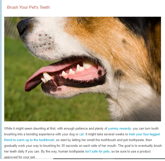 MVVeterinary510's tweet photo. #PetUltrasound #PetUrgentCare #DentalCare https://t.co/wbyGmWr1dT