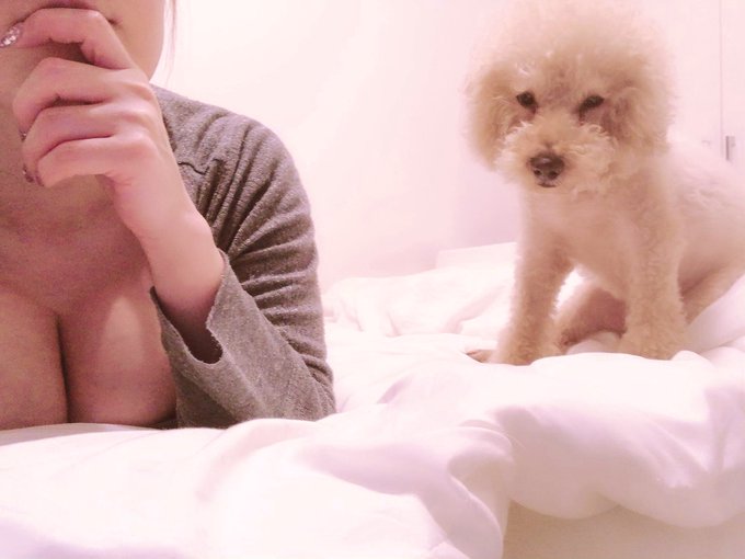 だらだら https://t.co/tNptSIggls<a href="/tag/%E6%9F%94%E9%81%93"class="tags"><span>#柔道</span></a>