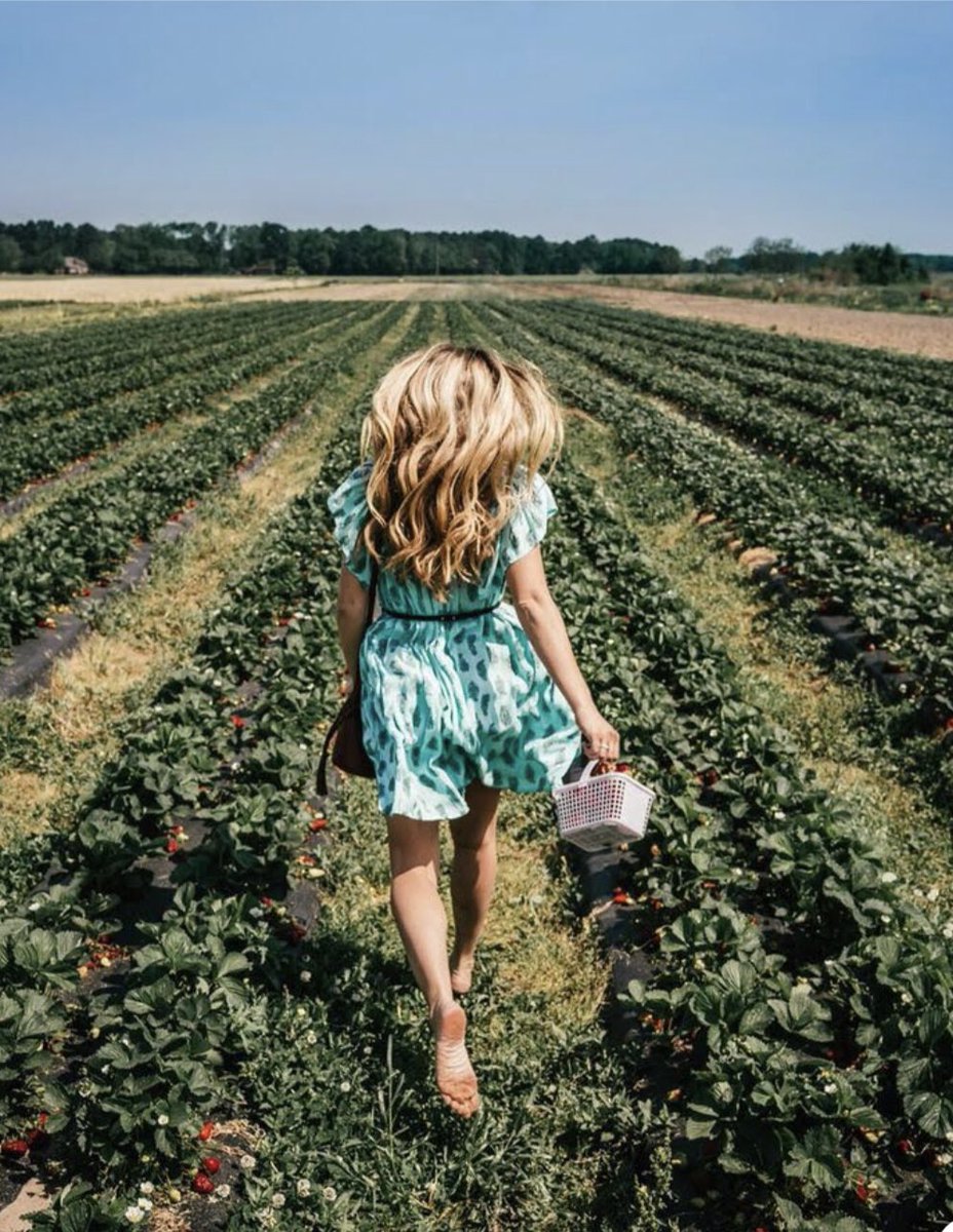 Virginia Beach se classe au palmarès du magazine Forbes figurant 16 destinations les plus magnifiques à visiter ce printemps et fait un petit clin d’œil à son festival des fraises. google.com/amp/s/www.forb…