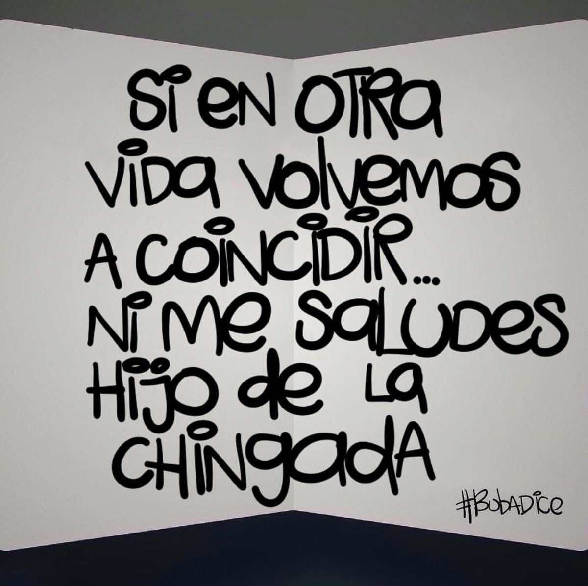 loquebubadice's tweet photo. #bubatbt
.
Ojalá hubiera conocido al innombrable en esta temporada de mi vida porque seguro lo mandaba a la chingada nada más de verlo #simedieranaelegir #ahorasitemandabaalachingada #alaprimeraysinpensarlo #ojalahubierasidoasidemaduracuandoteconoci #frase #bubadice https://t.co/oRhOuajnth