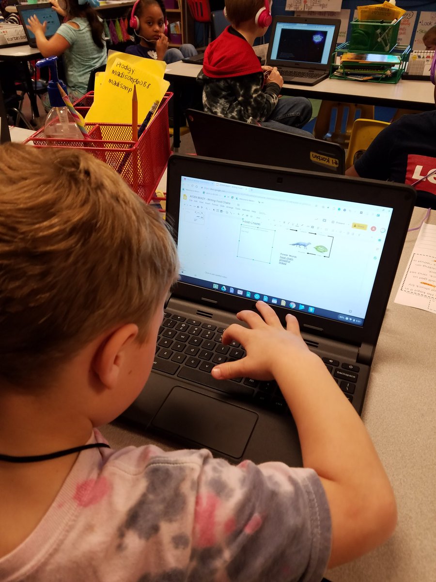 halpin1stgrade's tweet photo. #DLDay @TCBOE_LES https://t.co/i3SSNzE4a7
