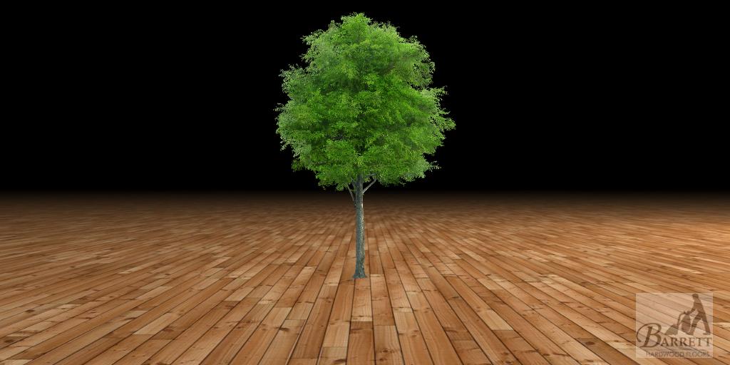 Barrett Hardwood Floors (barretthardwood) Twitter