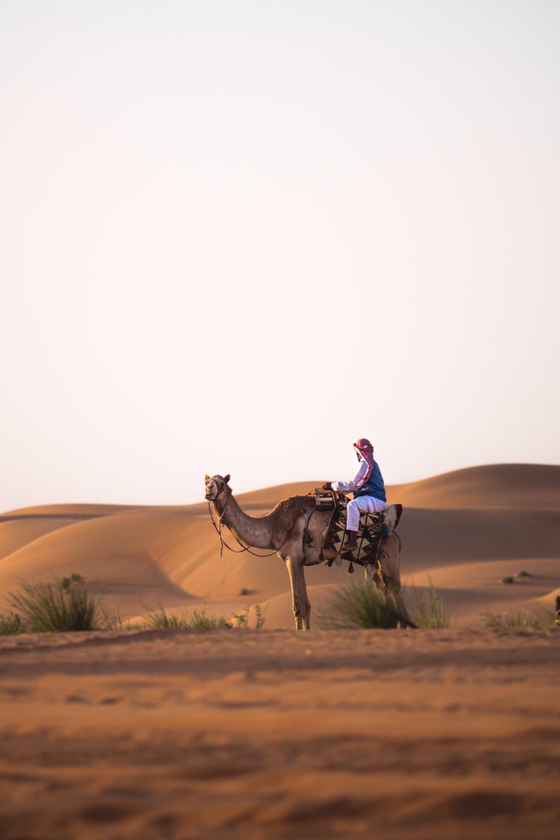 Slowly making our way through the majestic landscape of the Empty Quarter.🇸🇦 #saudiarabia <a href="/RakayibKSA/">ركايب | Rakayib</a> 
#Rakayib #ركايب #الربع_الخالي #السعودية