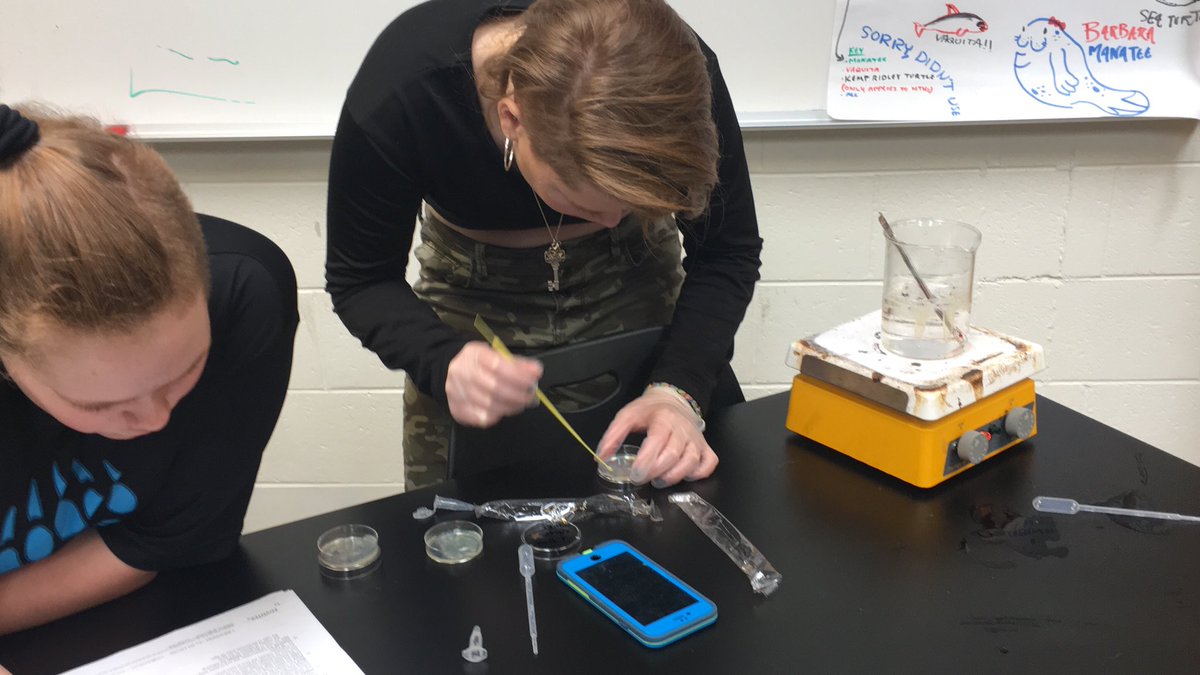 CompassAcad's tweet image. Sites around Compass today: playing with E Coli, applying color rules to food, picking out a new tune for Rock Band class, and celebrating our new Mr. Compass.  #CA2019 #learningisactive