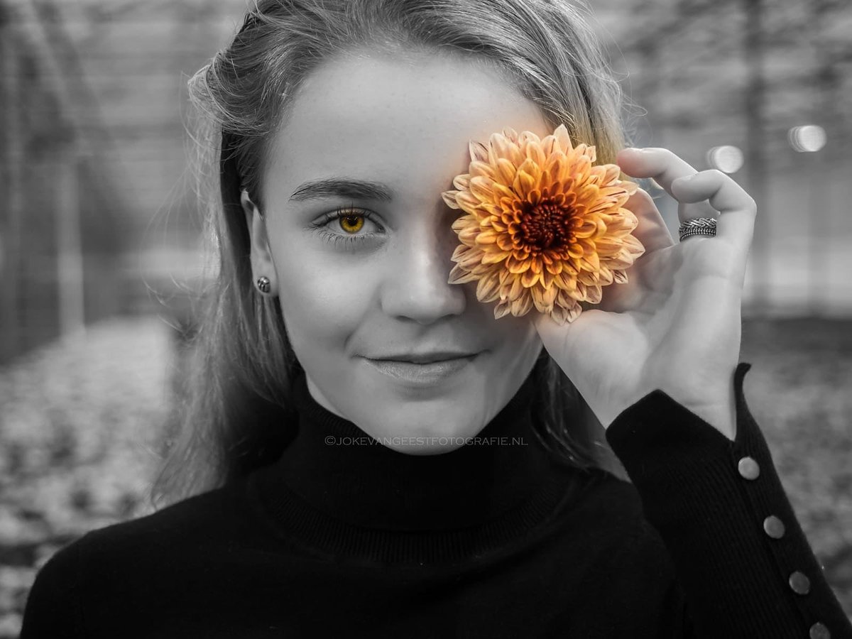 Richard v/d voort tweet media