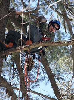 Tree_Care's tweet image. Get Ready Now for your Spring Tree &amp;amp; Shrub Pruning!
Book an appointment for a certified arborist to visit your property this spring to provide you with a price.
fourseasonstreecare.com/quote-request/
