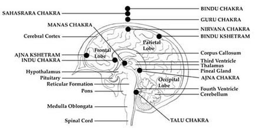 In Hinduism the red Dot/point on the forehead signifies Bindu "falling of the drop", secretes from the back of the head, symbolized by a Crescent Moon (Thoth?). The White (Moon) Bindu resides in the Bindu Visarga, Red (Sun) Bindu resides in the Muladhara. Upper Lower.