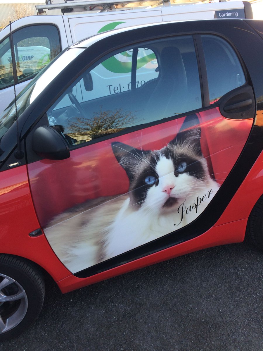 Some people put #images and details on their vehicles to #advertise their #business, but in this case the lovely owner just wanted to show how much her #beloved #cat #Jasper is #loved. This #brightened up our day 
For #excellentprices on #vehiclegraphics phone us on 01723 332424