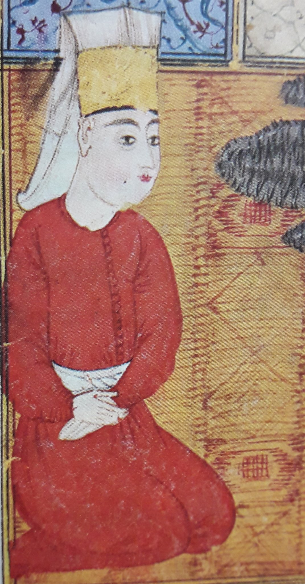 Acemi Oglani Bilgitepesi