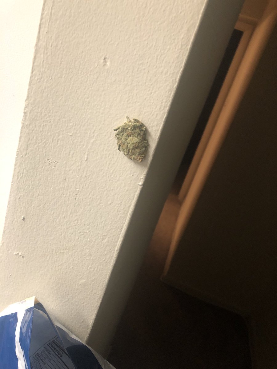 Stick Test Its Been Sitting There Going On 6 hrs Now #realweed https://t.co/iruLCVuZoY