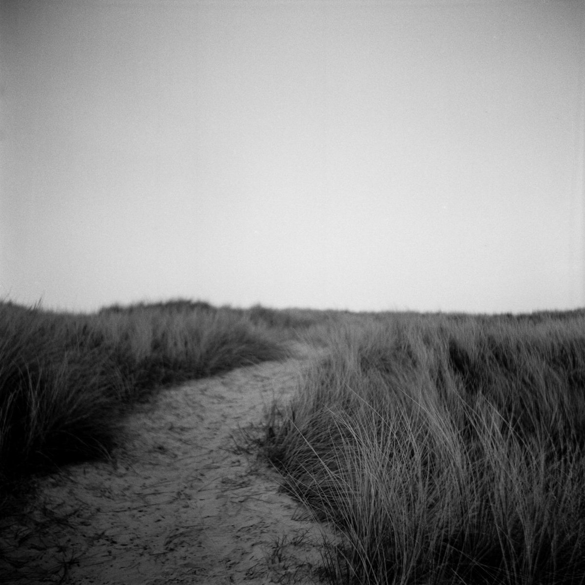 grmpyhpstrmk's tweet photo. Sand dune

📷: Lomo Lubitel 166B
🎞: @ILFORDPhoto HP5+
⚗️: Ilford ID-11 Stock

#vejers #denmark #grainisgood #ishootfilm #selfdeveloped #hp5plus #id11 #ilfordfilm #120mm #lomo #lubitel #ilfordphoto #fridayfavourites https://t.co/brqs4e8Q2X