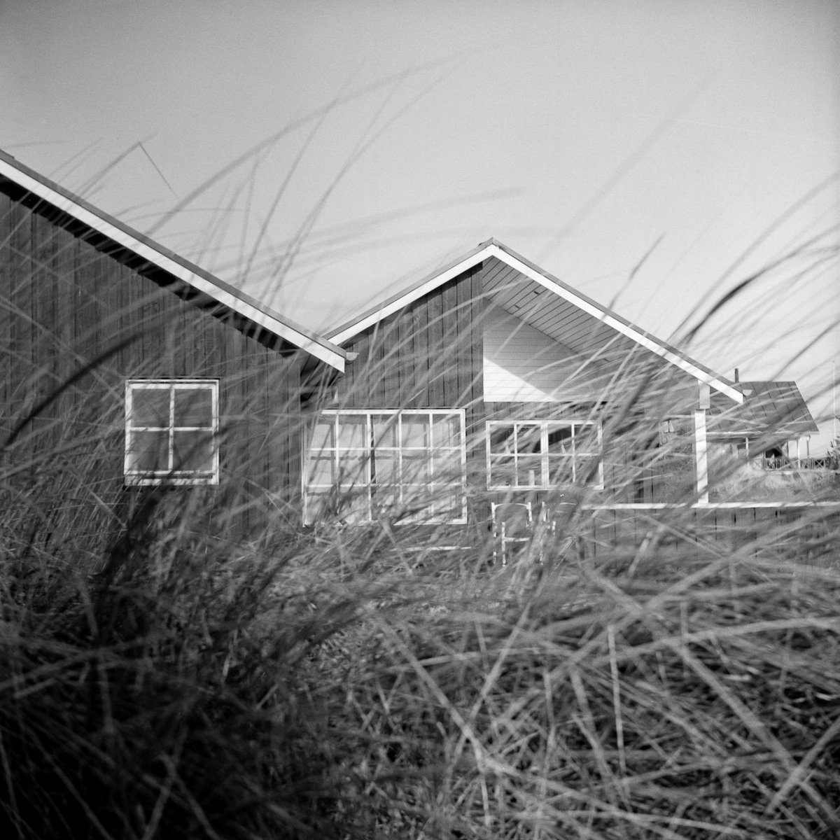 grmpyhpstrmk's tweet photo. Danish Cabin

📷: Lomo Lubitel 166B
🎞: @ILFORDPhoto HP5+
⚗️: Ilford ID-11 Stock

#vejers #denmark #grainisgood #ishootfilm #selfdeveloped #hp5plus #id11 #ilfordfilm #120mm #lomo #lubitel #ilfordphoto #fridayfavourites https://t.co/1SxbmuUtSL