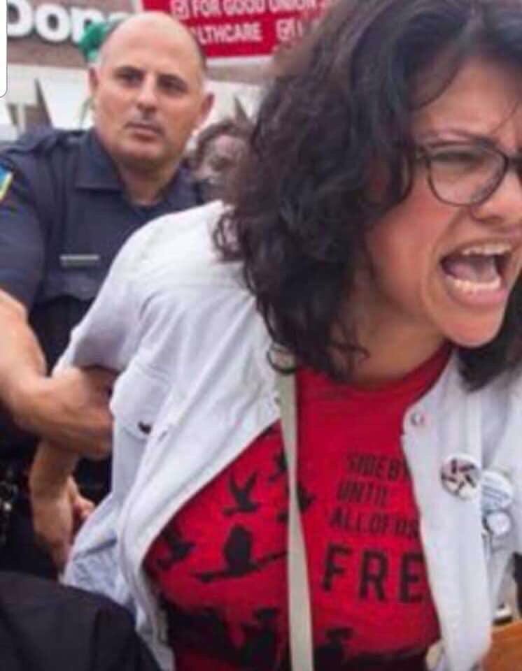 Anti-Semite Rashida Tlaib to display 'altered' American flag outside her congressional office