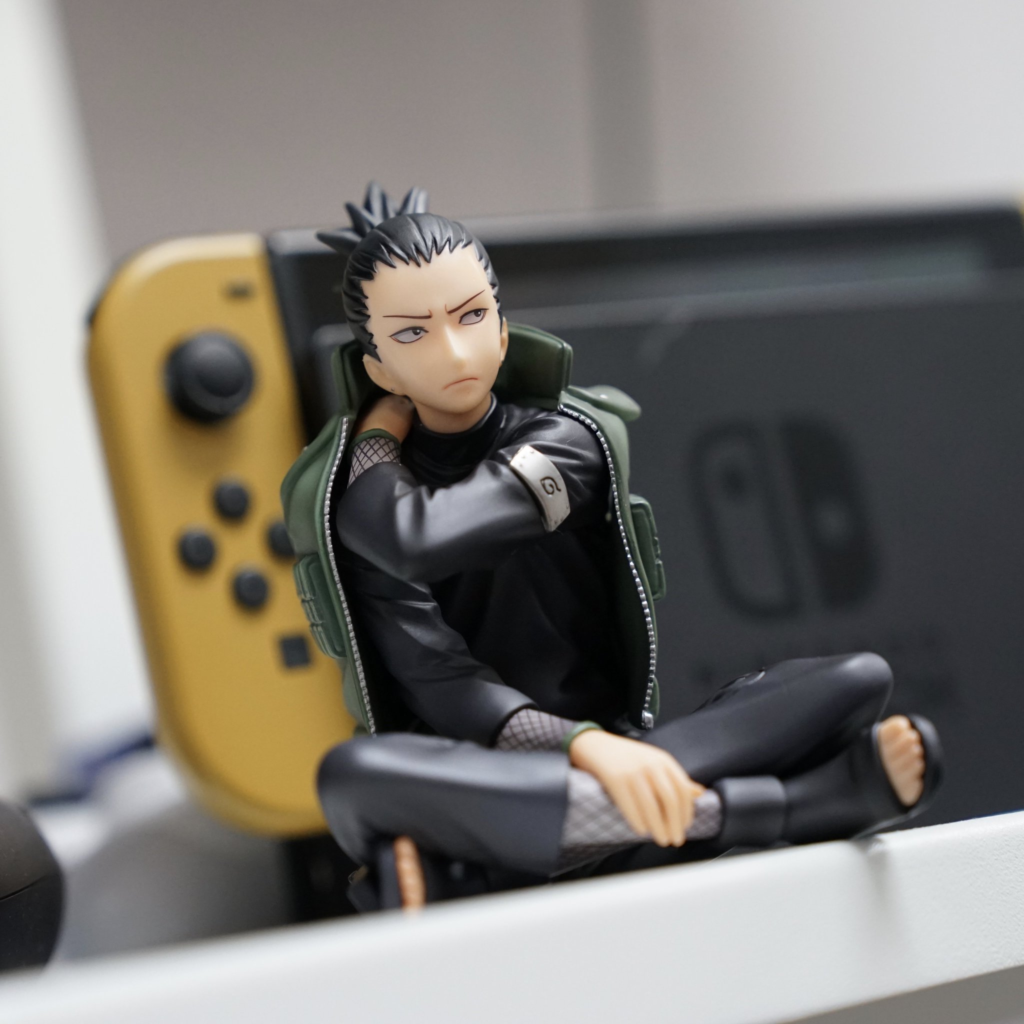 shikamaru megahouse