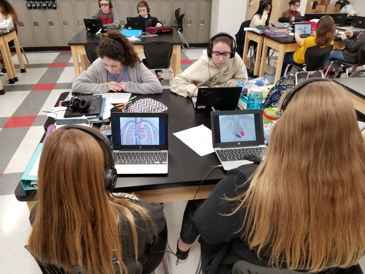 Lit_Cats's tweet photo. Students used a Multimedia Text Set to learn about the interdependence of the respiratory system and the cardiovascular system! #dogpackrules #rmsdogpack #barrowbold https://t.co/UBV1p54VBI