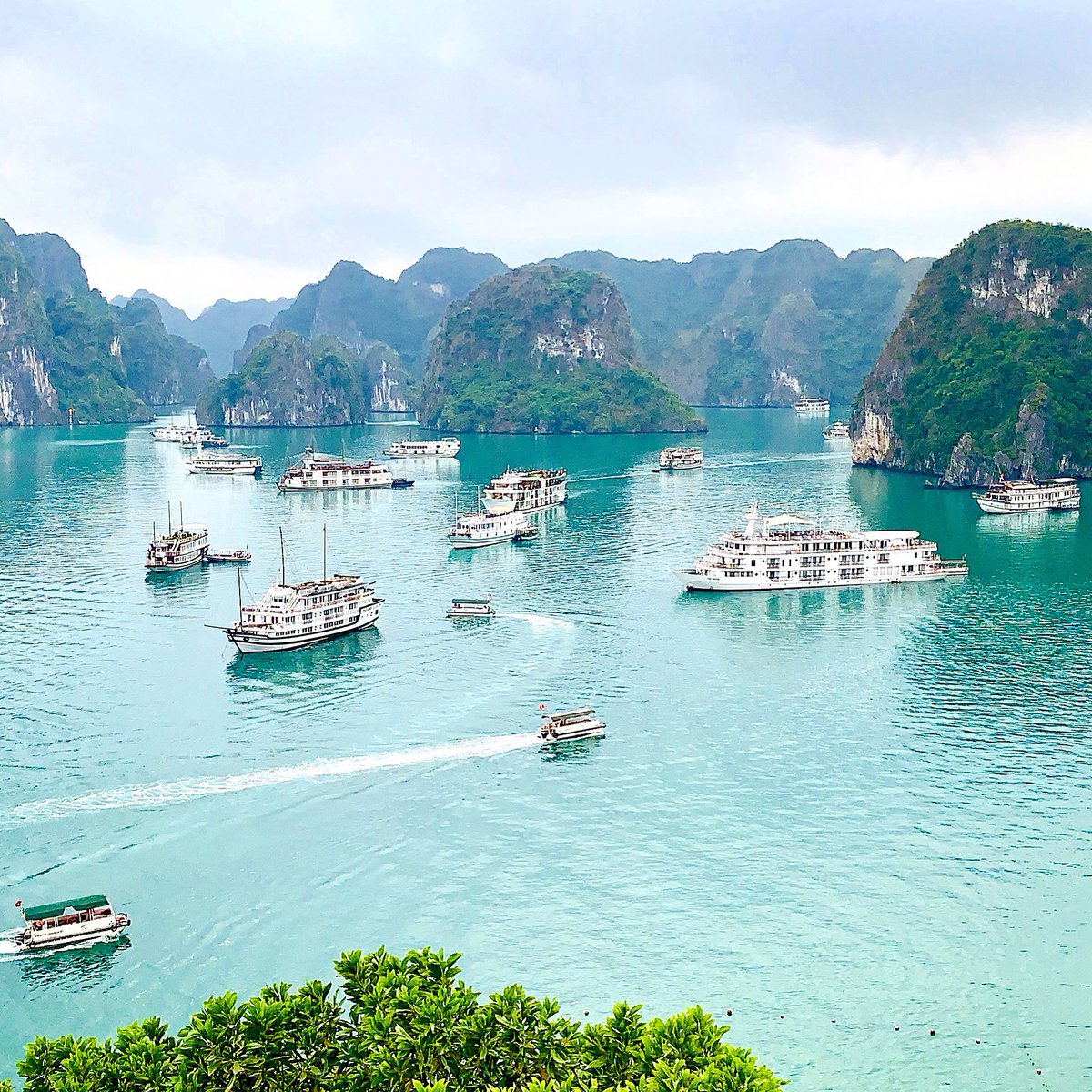 TheTravelphile's tweet image. 8:00 a.m. view on #halongbay as seen from the top of #titopisland. So worth it to #getupearly &amp;amp; be the 1st ones up here. Learn more #ProTips w me at the #PhillyTravelShow Sun, 3/10 at 11:15 @imprinttours @adventureswithsarahm @travadventure #vietnam #journeywell #thetravelphile