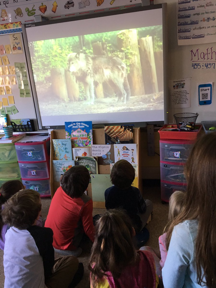 #fvfirsties took a virtual field trip to the Smithsonian Zoo and got to see and learn all about amazing animals right from our own classroom! #MTPSDLD2019 #FVFocused #FVfirsties #FutrureReadyNJ #MTPSPride <a href="/MTPSpride/">Middletown Township Public Schools</a> <a href="/MTPSFairview/">Fairview Elementary</a>