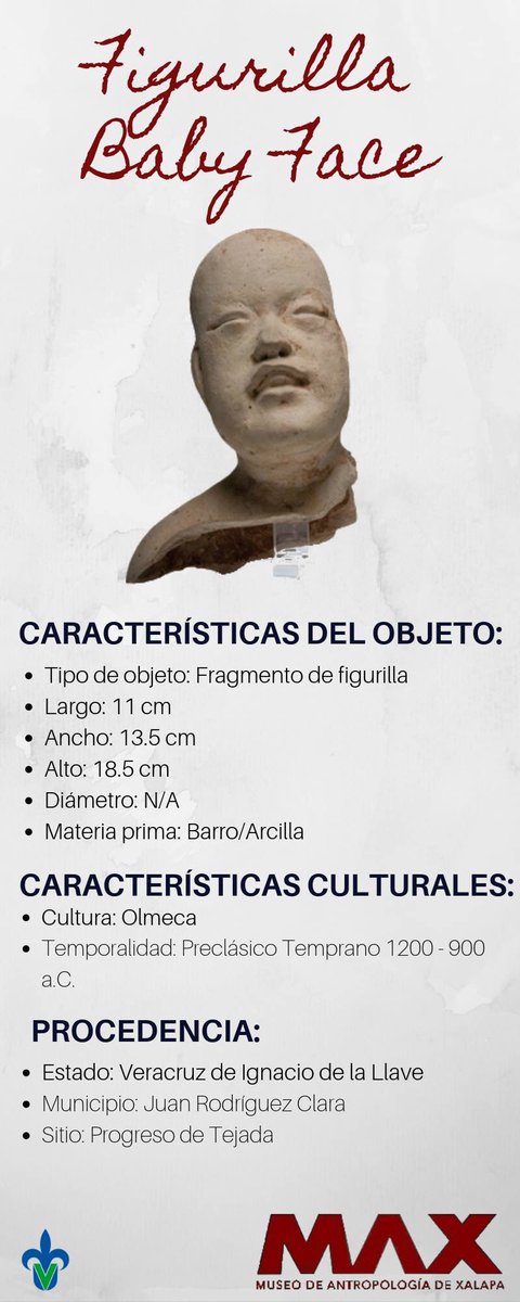 MuseoMAX's tweet photo. Este tipo de figurillas cerámicas huecas se han hallado en sitios con presencia o influencia Olmeca dentro de un amplio territorio desde el centro de México hasta el sur de la Costa del Golfo. 
¡Ven a conocer esto y mucho más! #MuseoMAX #Xalapa https://t.co/LBs58VmiMH