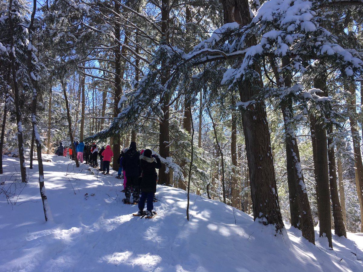 SwanLakeOE's tweet photo. We had an absolutely amazing day with the grade 7’s from @redmapleps1 ... using both snowshoes and cameras to explore our winter forest #TMOWinterChallenge #yrdsboutside #welovewinter https://t.co/KEnOQooDAT