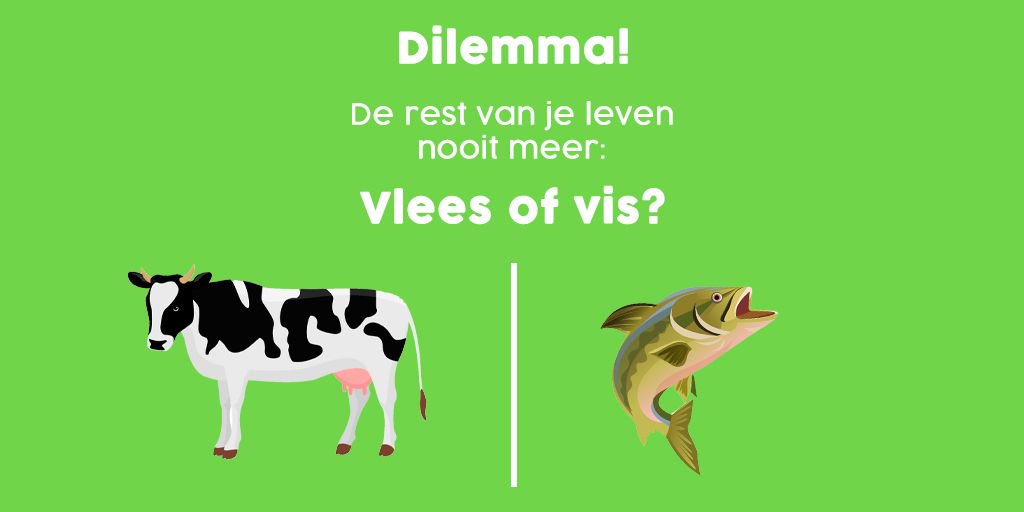 Nooit meer vlees of vis? Wat kies jij? 

versenlokaal.nl