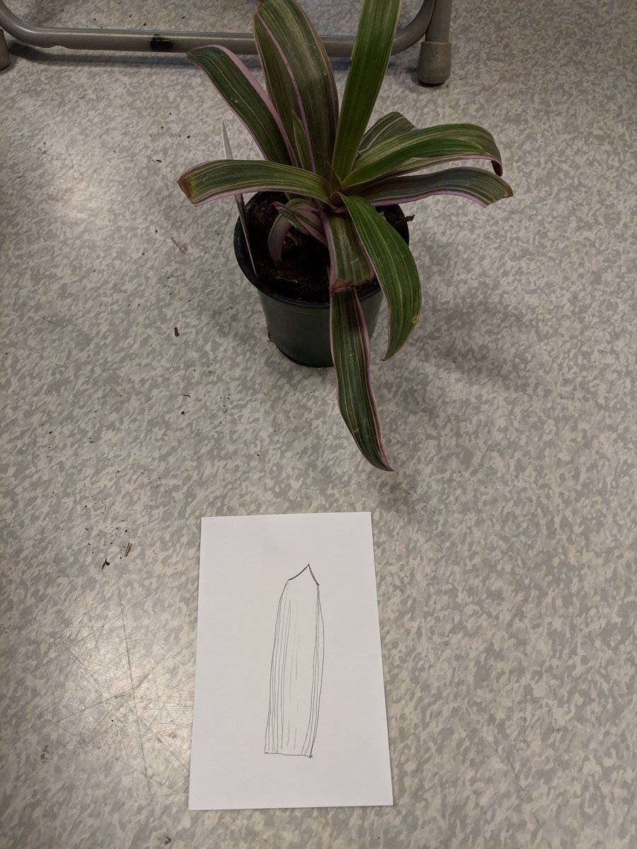MsBarringtonCG's tweet photo. "Don't Just Study Nature," was an amazing session! Microworlds, nature scavenger hunts, so many fun, engaging ways to emotionally engage students with nature @getca1 @CalderCheverie @ChristinaGFMPSD @FMPSD @ATALocal48 #getca2019 #getca48 #getoutdoors https://t.co/68i50O5pf1