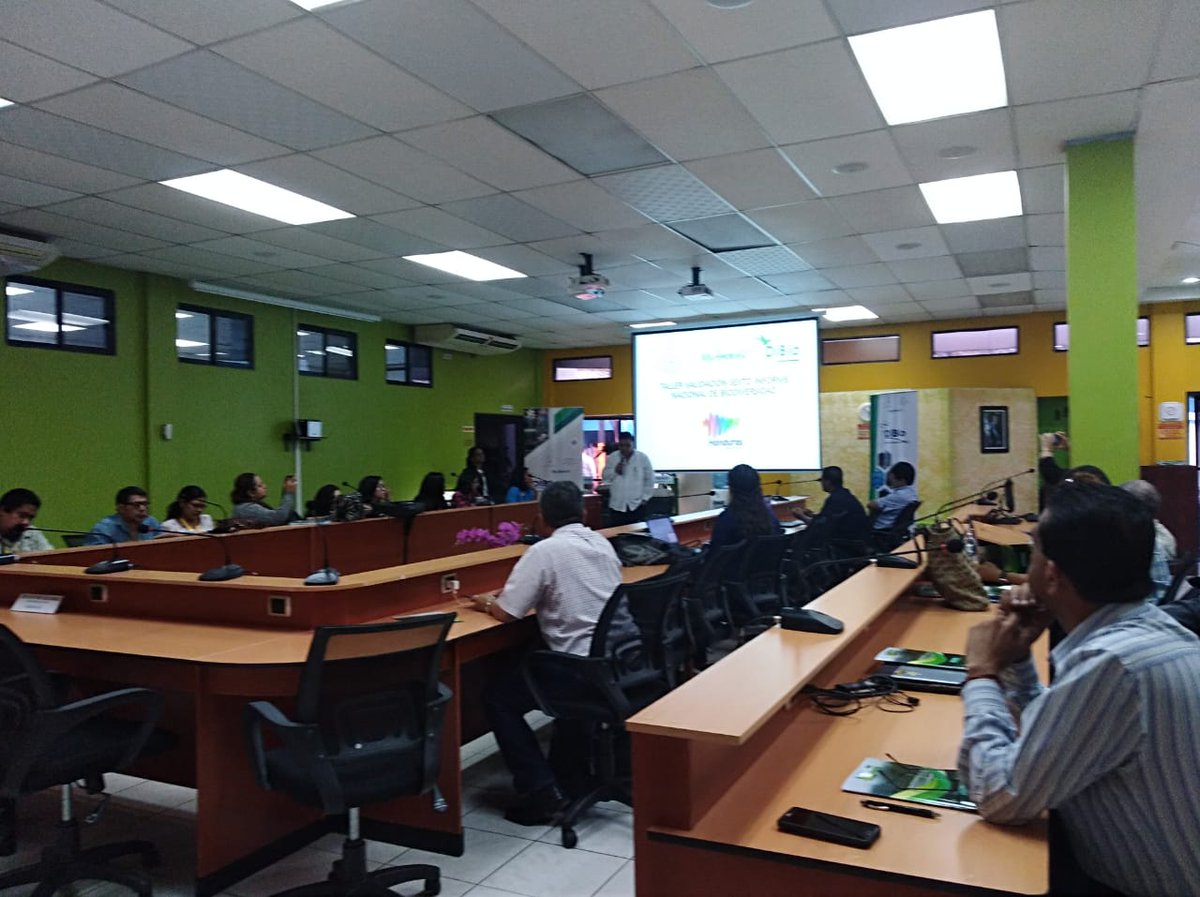 sernaHN's tweet photo. #MiAmbiente+ valida en taller el sexto Informe Nacional de Biodiversidad. La validación la realiza #DiBio con expertos nacionales en temas de el manejo, monitoreo y conservación de los recursos naturales con la participación institucional, empresa privada y educacion pública. https://t.co/nP5BA8AvaI