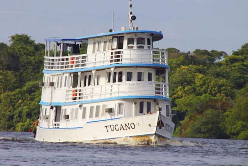 The Brazilian Amazon is know for its fantastic adventures and stunning array of wildlife. Discover it now with @mtsobekj. 

seethewild.org/brazil-voyage-…

#amazon #brazil #brazilianamazon #wildlifetour #seethewild #explorebrazil