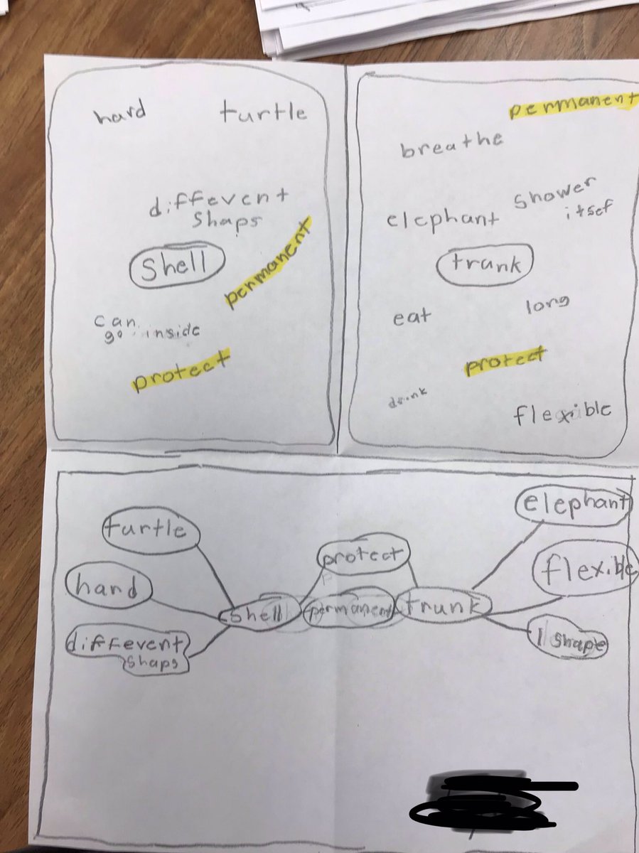 KatieOBrien22's tweet photo. Second graders in Mrs. Wahlberg’s class @AvonNovas used multiple thinking maps to synthesize their learning from two non-fiction articles #thinkingmaps #multiplemaps https://t.co/BcXrZR3kP9
