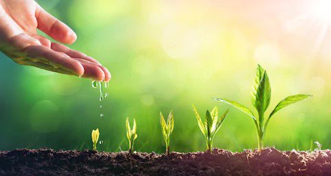 It is almost time to get growing🌺🌿

We are calling all green-thumbs interested in tending to some sprouting seedlings at Angus Public Library!🌱 

@AngusFrmrMarket <a href="/BarrieFarmersM/">BarrieFarmersMarket</a> @EssaLibrary <a href="/essatownship/">Essa Township</a> <a href="/CFBBorden/">CFB Borden</a> <a href="/AWARESimcoe/">AWARE Simcoe</a> <a href="/EDCEssa/">Essa Township EDC</a>