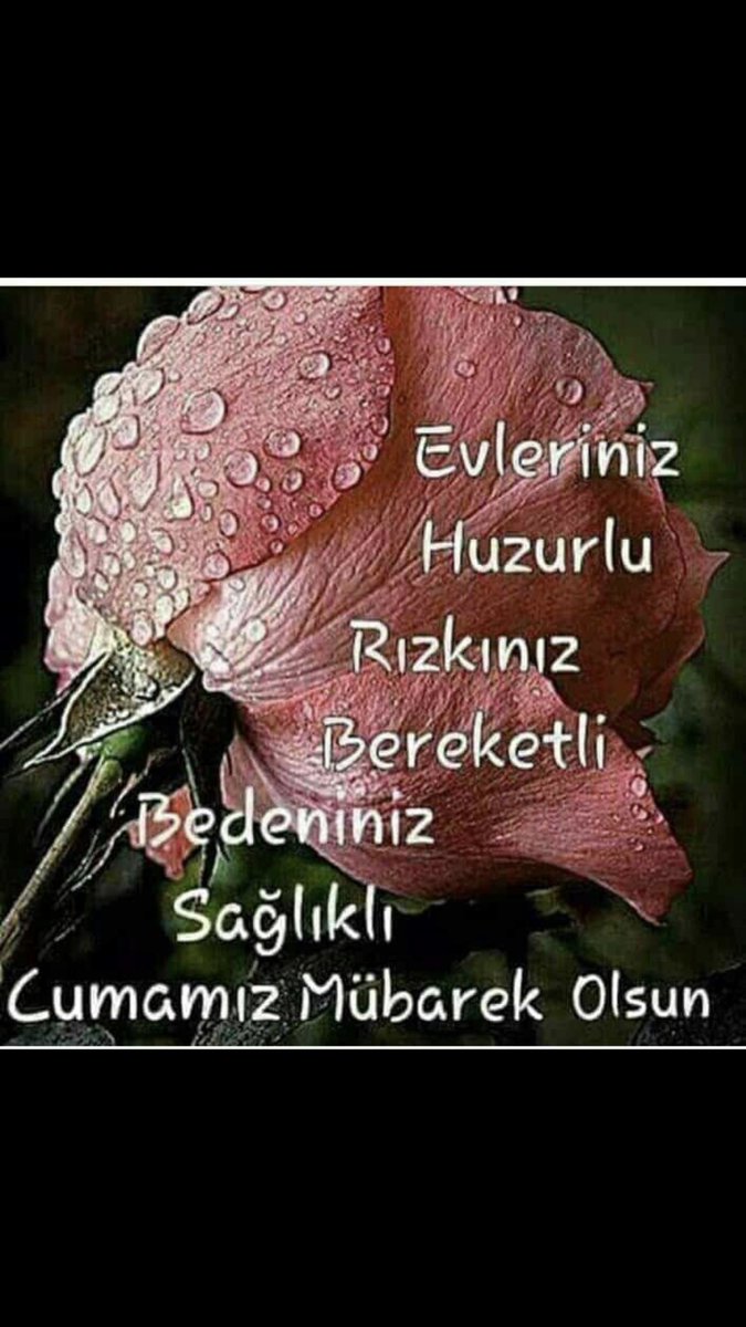 hamzaoglu3's tweet photo. 🍃🥀🍃ResûLuLLah
(s.a.v.)
“#Hayır OLmayan
Her #Sözden
#DiLini Çek
Ancak Bu #Sayede
#Şeytana GaLebe
ÇaLarsın”
Buyurdu.
(H.Şerif)
CUMA Gecemizi
Ve Cuma Günümüzü
RABB’im!
BizLere Mübarek
EyLesin
AMİN🍃🥀🍃 https://t.co/K1N4AdJyqJ
