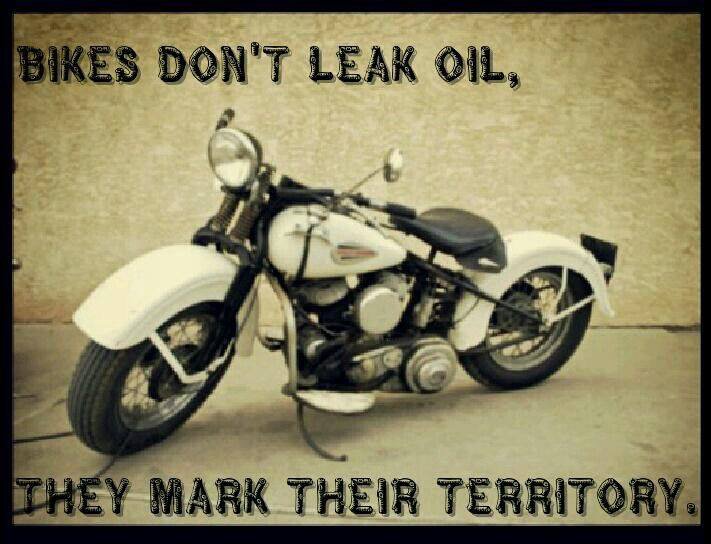 opnrdbkrs's tweet photo. Yes, we do! https://t.co/uLmwHSPNoc