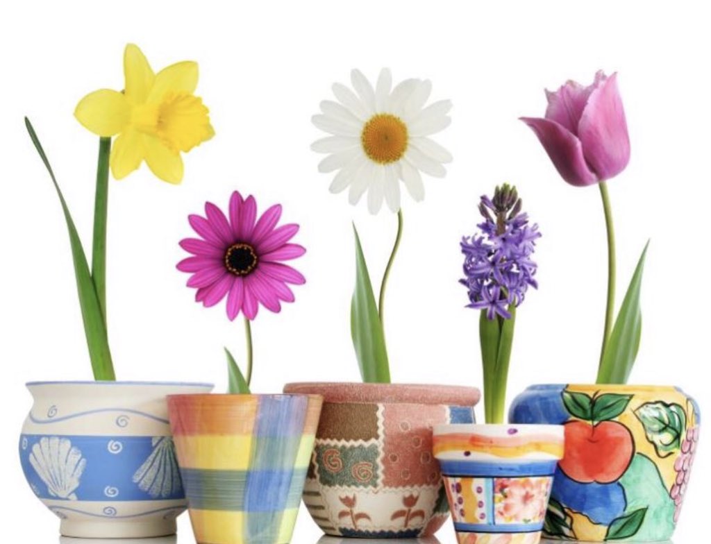 Амжилтаар дүүрэн байх шинэ сарын мэнд дэвшүүлэе! 👍
🌺🌹🌸💐⏰
Цагийг хамгийн үр ашиггүй өнгөрүүлдэг хүмүүс⏰⏱
Цаг хугацаа давчуу гэж бухимддаг. 😉