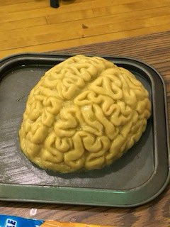 A special thank you to Mrs. Felix for teaching us about the brain.