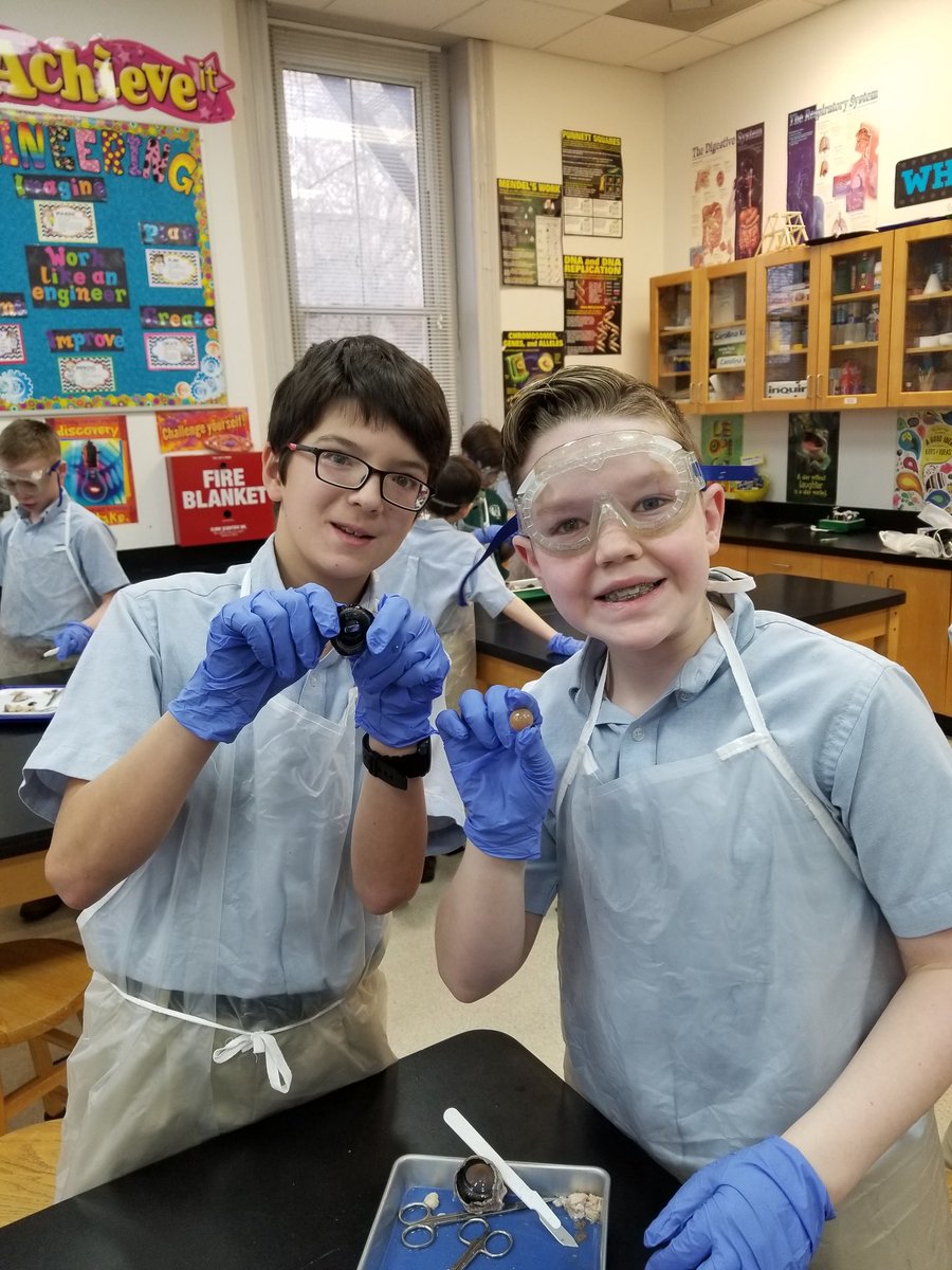 AcademySCI's tweet photo. This Sixth Class have been investigating light and how the eye uses light to see the world.  Today they dissected a cows eye to understand how the eye functions and its parts. @ash1818 https://t.co/f6vbG9Mo9h