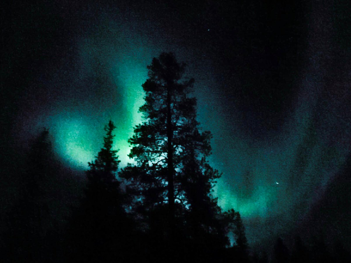 KaroliinaSun's tweet photo. #Revontulet #Äkäslompolo @iidasunell https://t.co/lG8xlOuXXF